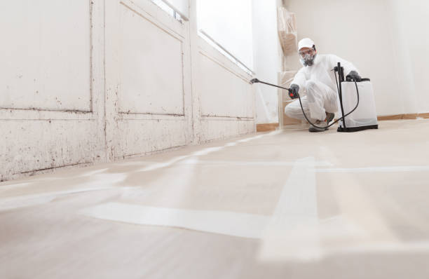 24/7 Emergency Crawl Space Mold Remediation experts in Franklin, MI
