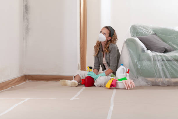Reliable Crawl Space Mold Remediation contractor in Franklin, MI by Mold Remediation HQ