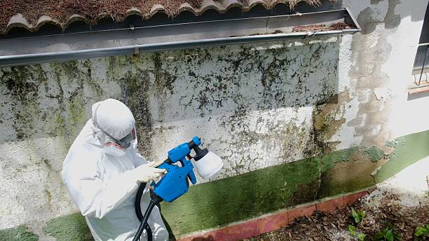 Top rated local Crawl Space Mold Remediation specialists in Franklin, MI